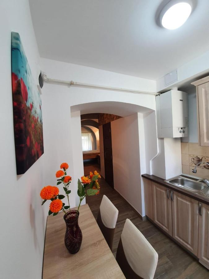 Apartmán Radu Apartament Sibiu Exteriér fotografie